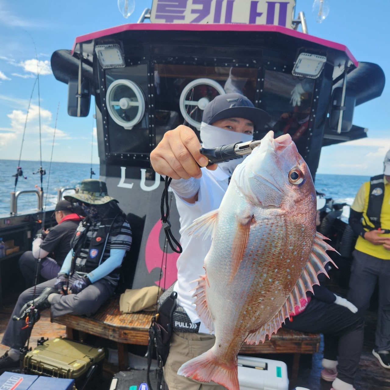 사용자가 올린 이미지