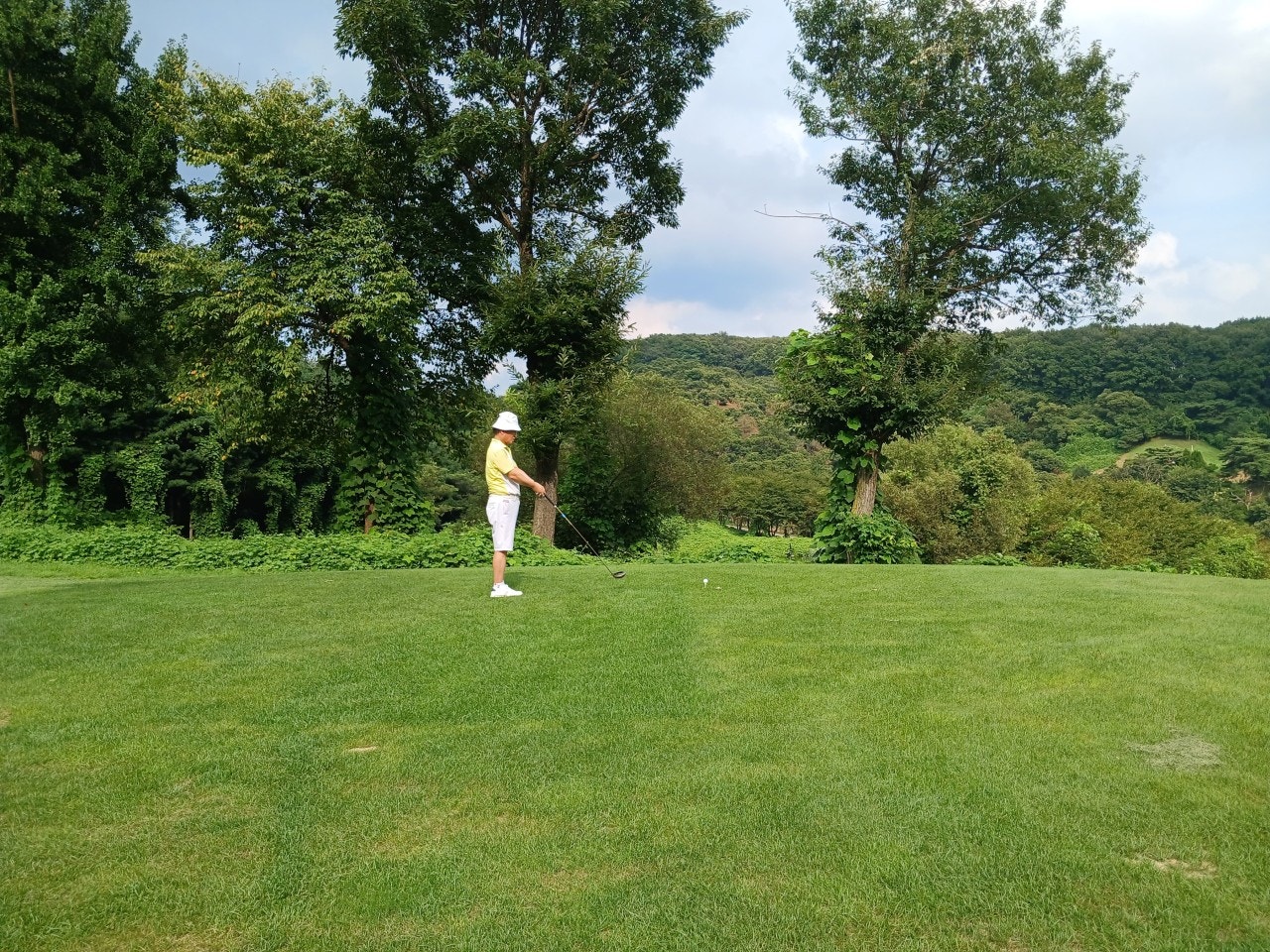 사용자가 올린 이미지