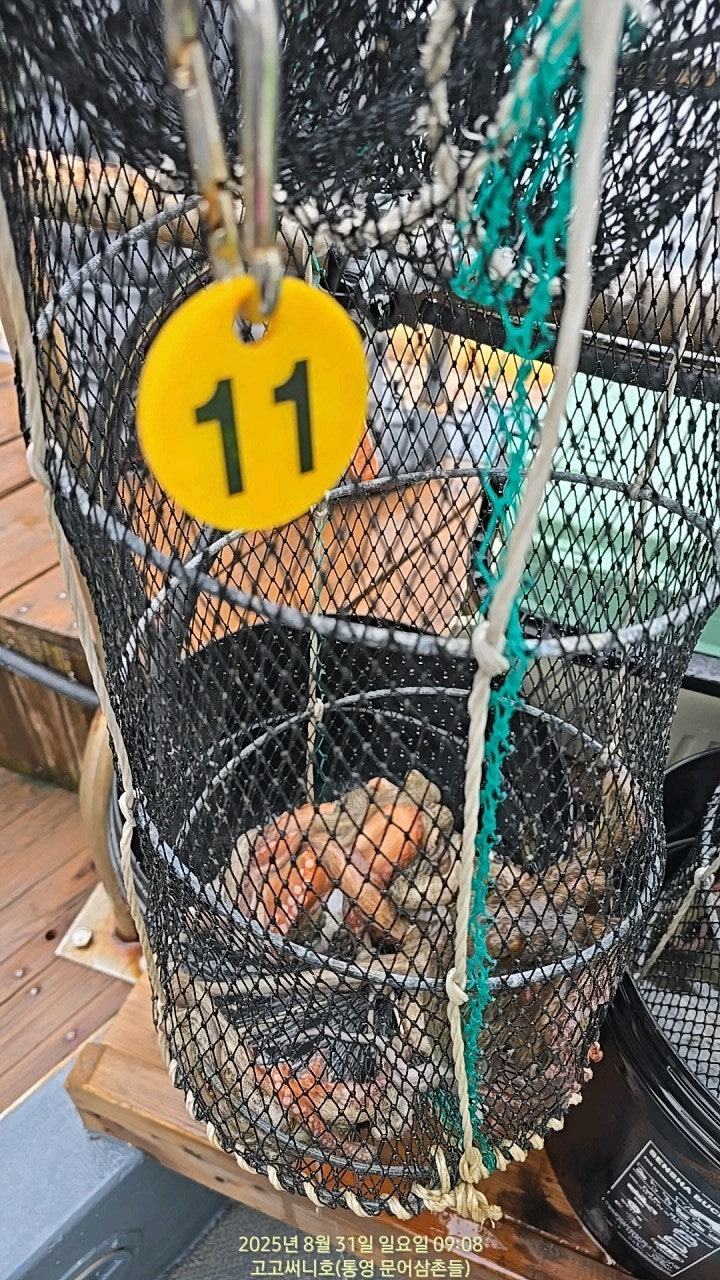 ڰ ø ̹