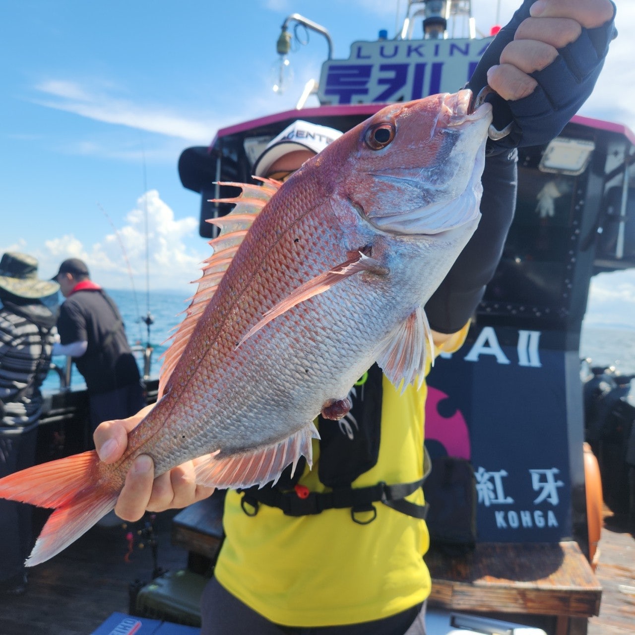 사용자가 올린 이미지