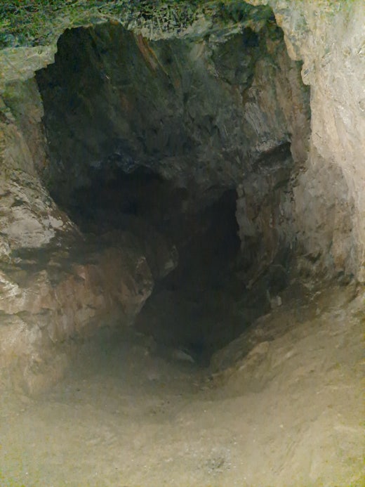 카페블리온 이미지