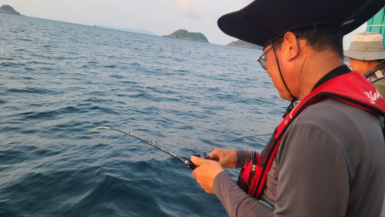 사용자가 올린 이미지