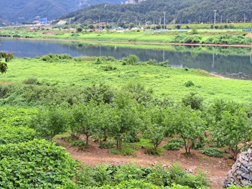 카페블리온 이미지