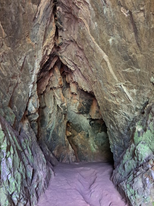 카페블리온 이미지