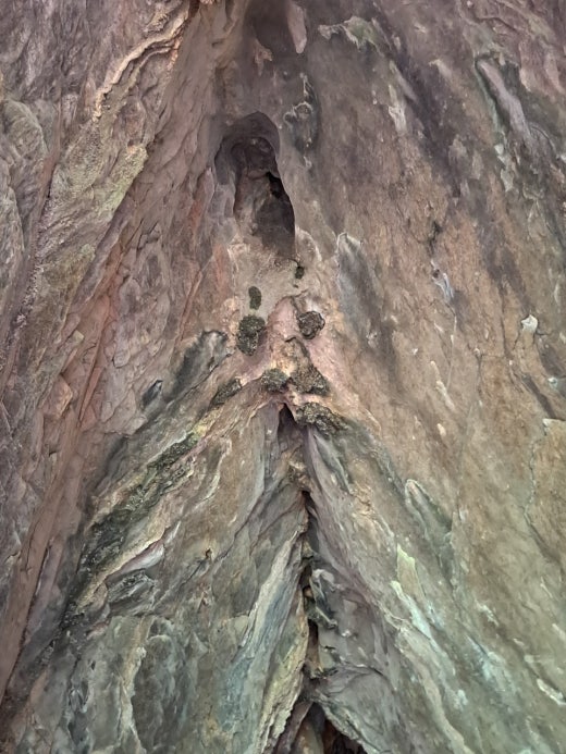 카페블리온 이미지