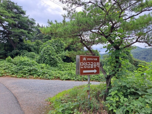 카페블리온 이미지