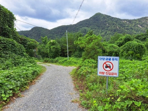 카페블리온 이미지