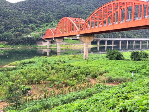 카페블리온 이미지