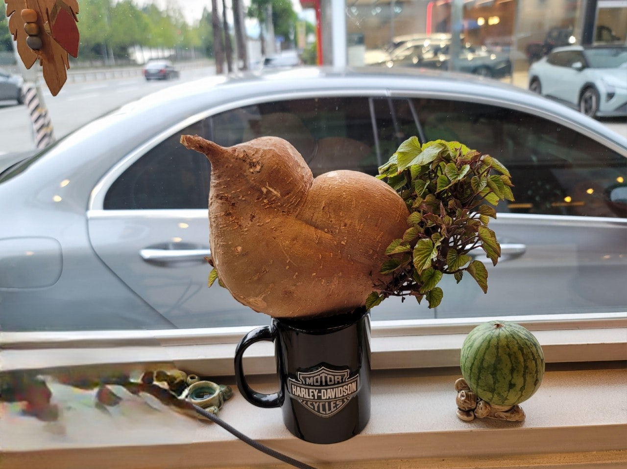 사용자가 올린 이미지