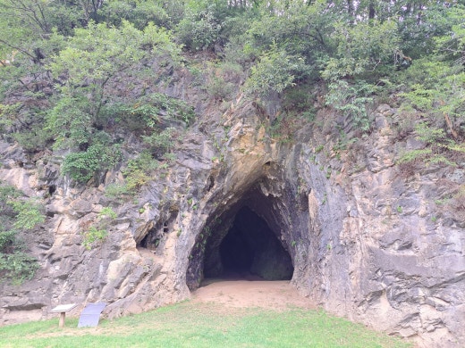 카페블리온 이미지