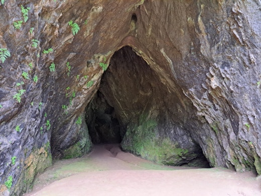 카페블리온 이미지