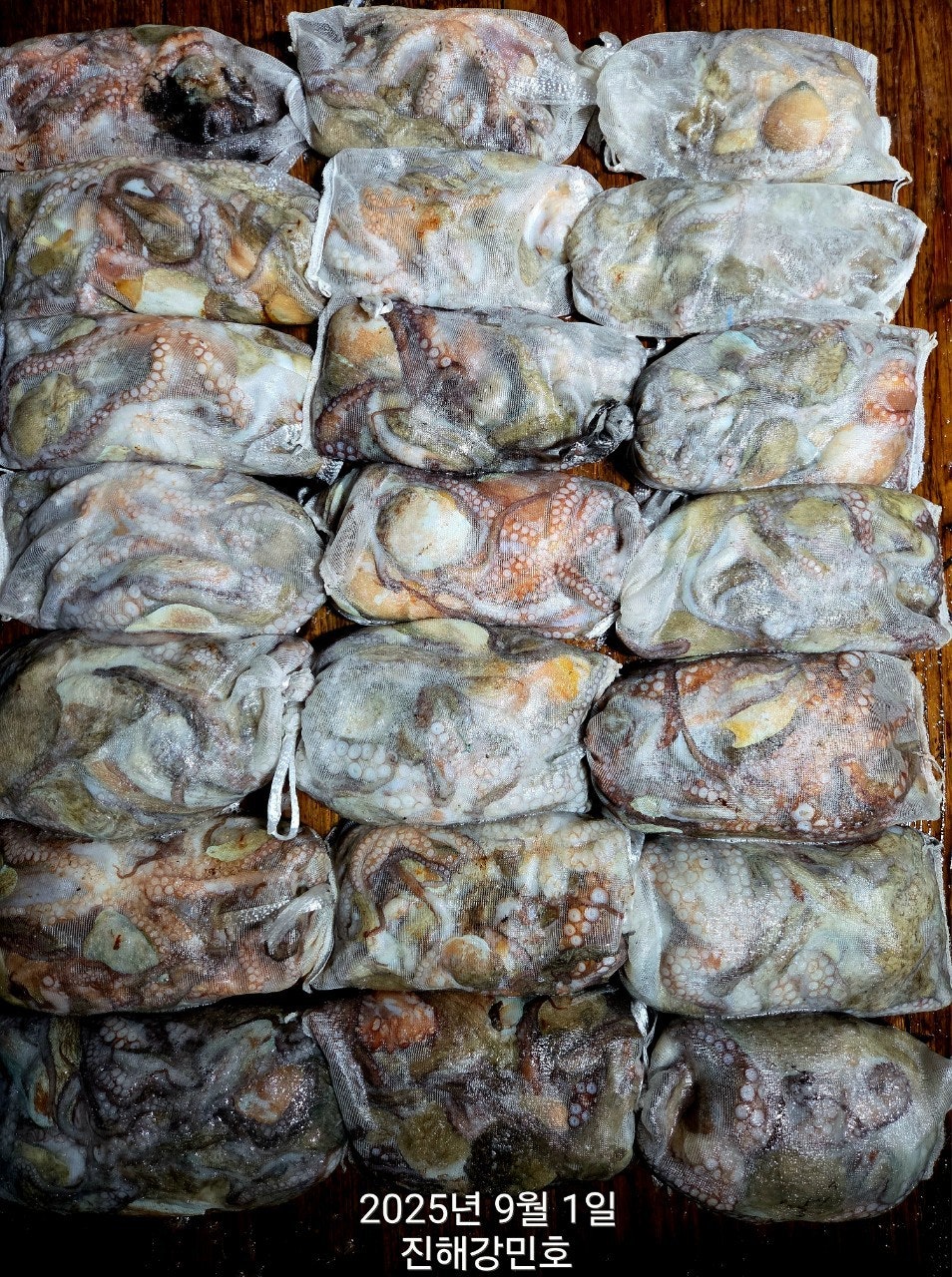 ڰ ø ̹