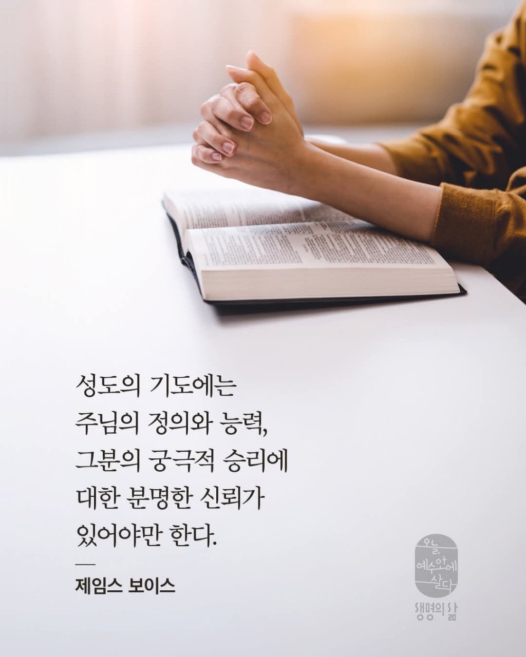 ����ڰ� �ø� �̹���