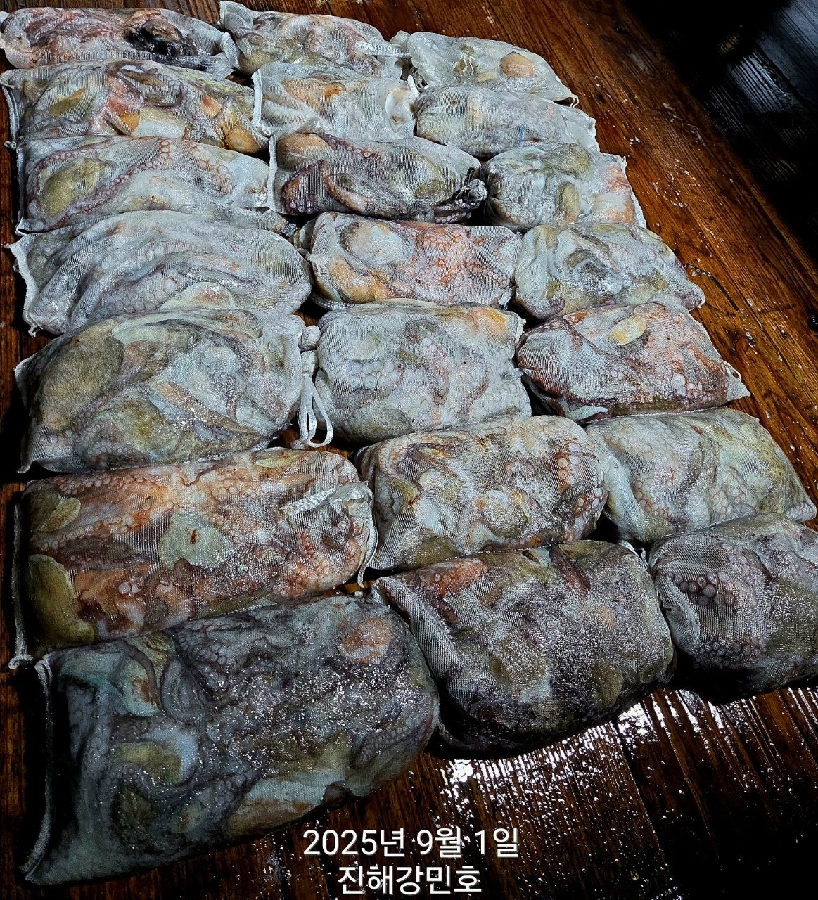 ڰ ø ̹