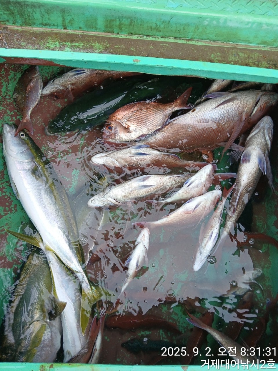 사용자가 올린 이미지