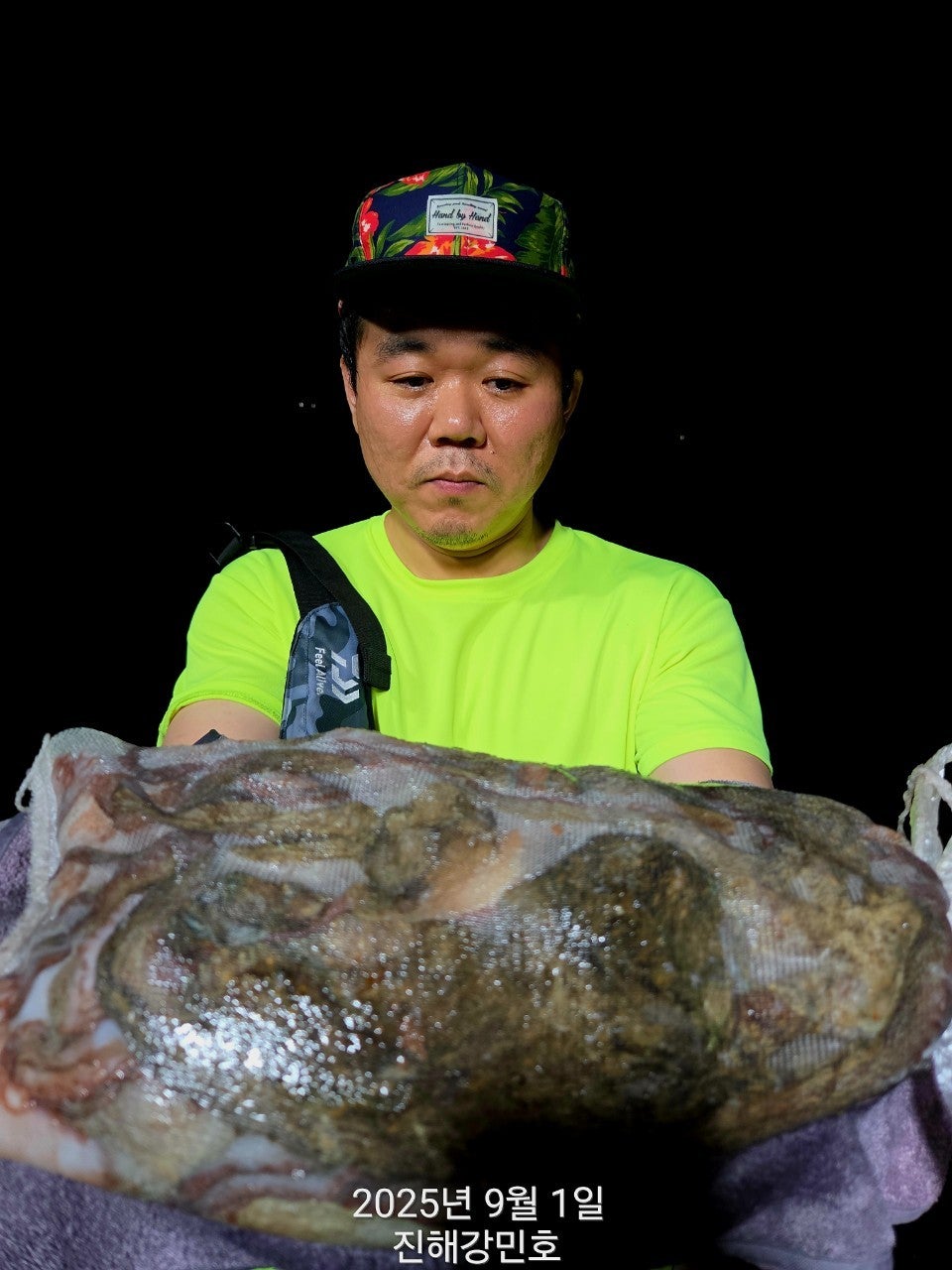 사용자가 올린 이미지