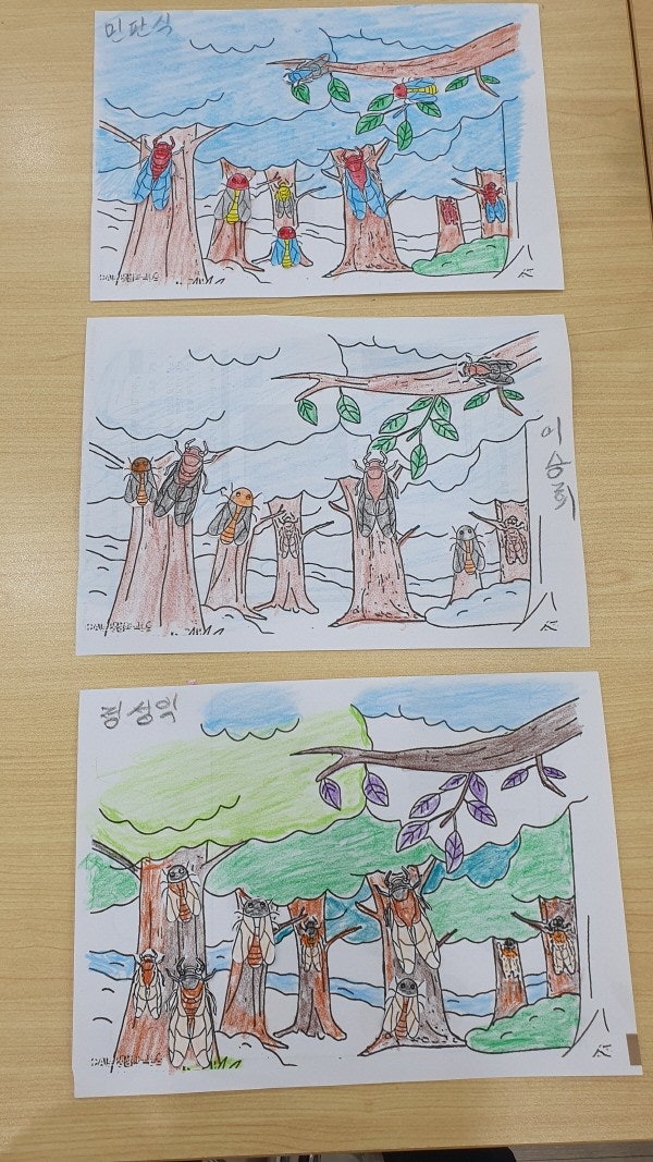 사용자가 올린 이미지