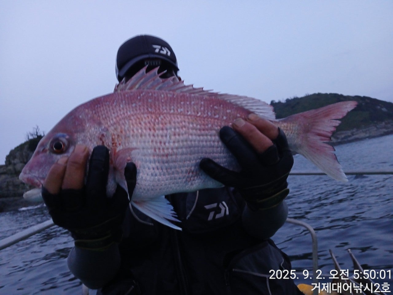 사용자가 올린 이미지