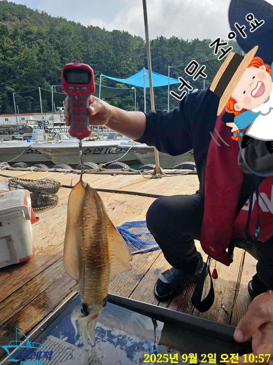 사용자가 올린 이미지
