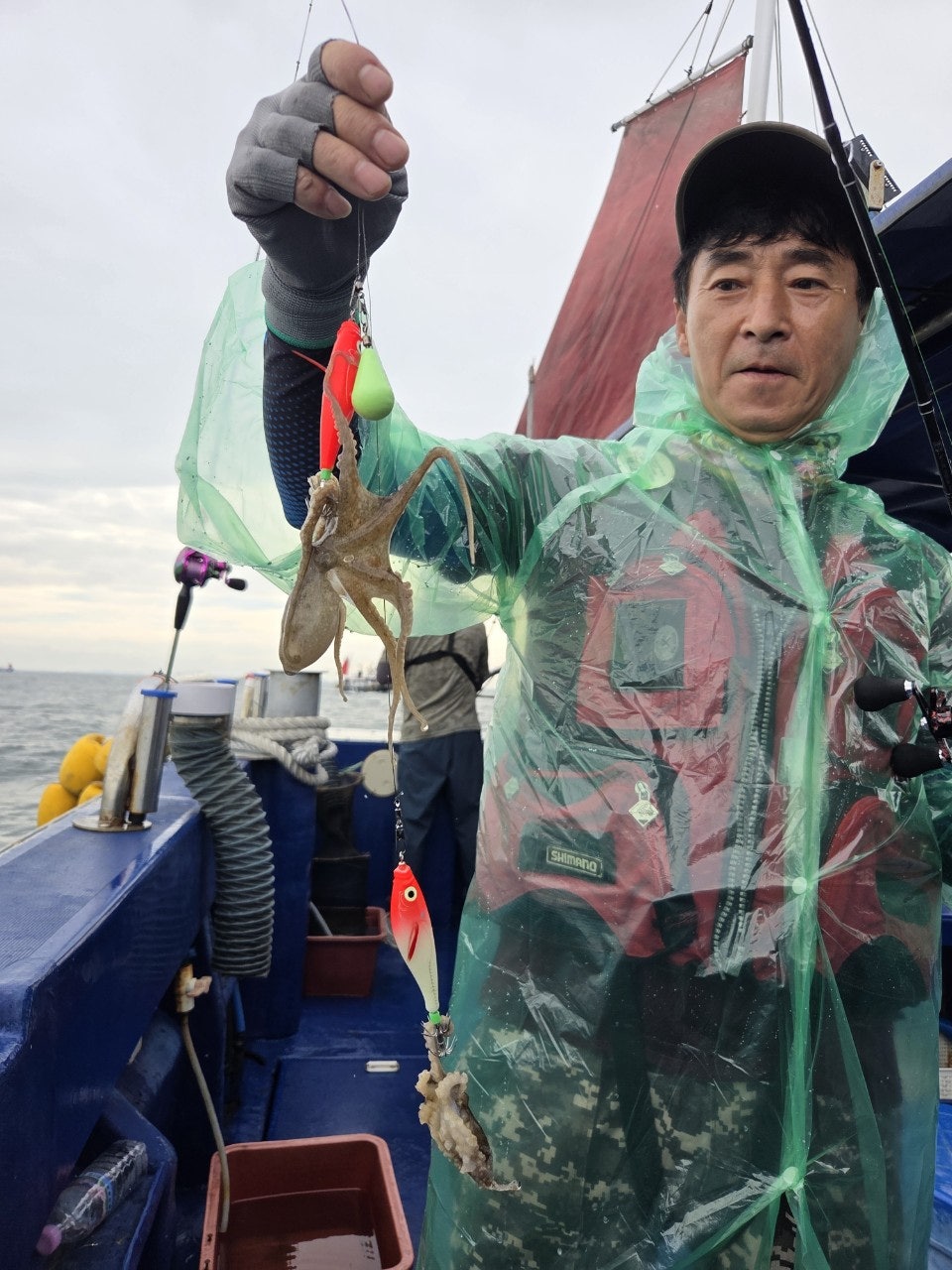 사용자가 올린 이미지