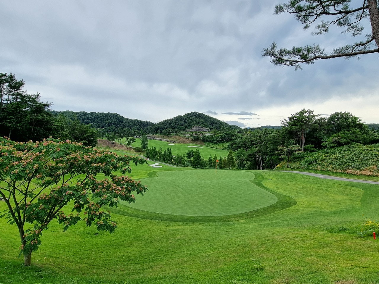 사용자가 올린 이미지