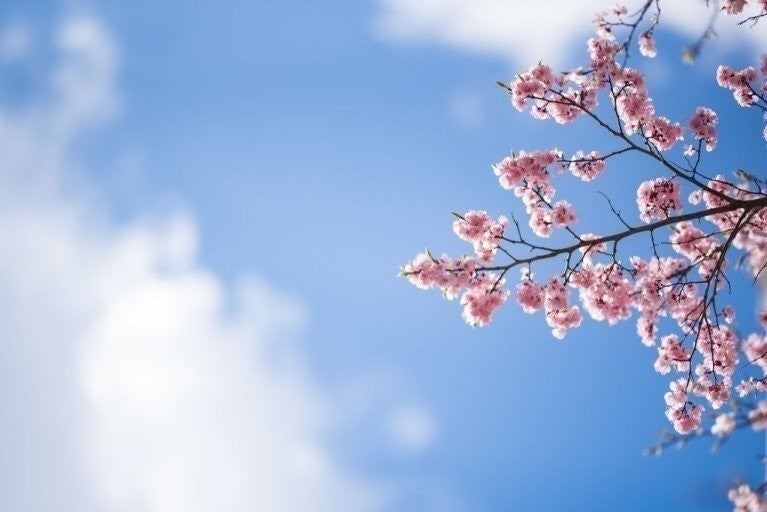 4_bb9Ud018svc19338ugri095j_ra1fqn.jpg