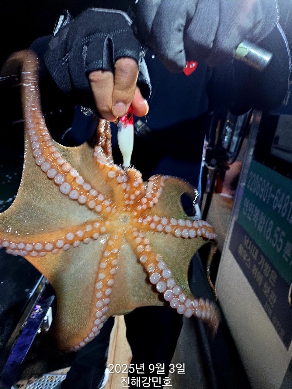 사용자가 올린 이미지