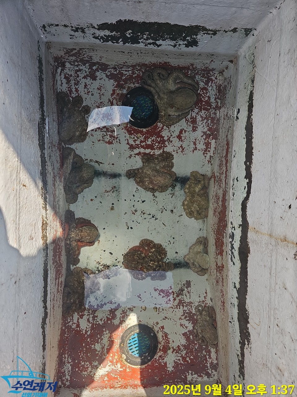 사용자가 올린 이미지