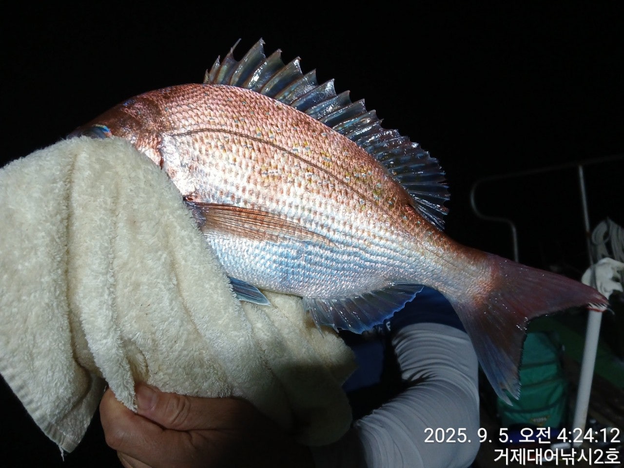 사용자가 올린 이미지