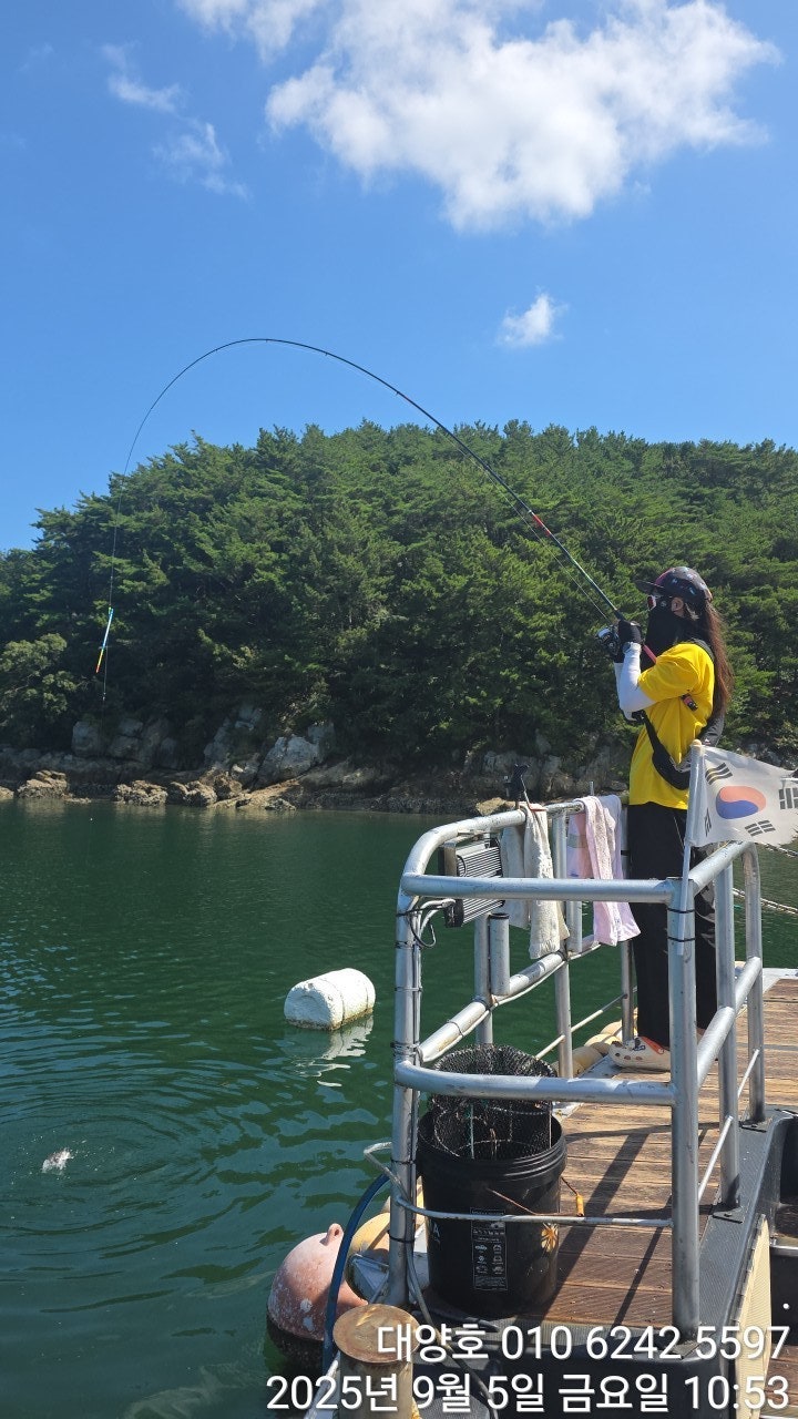 사용자가 올린 이미지