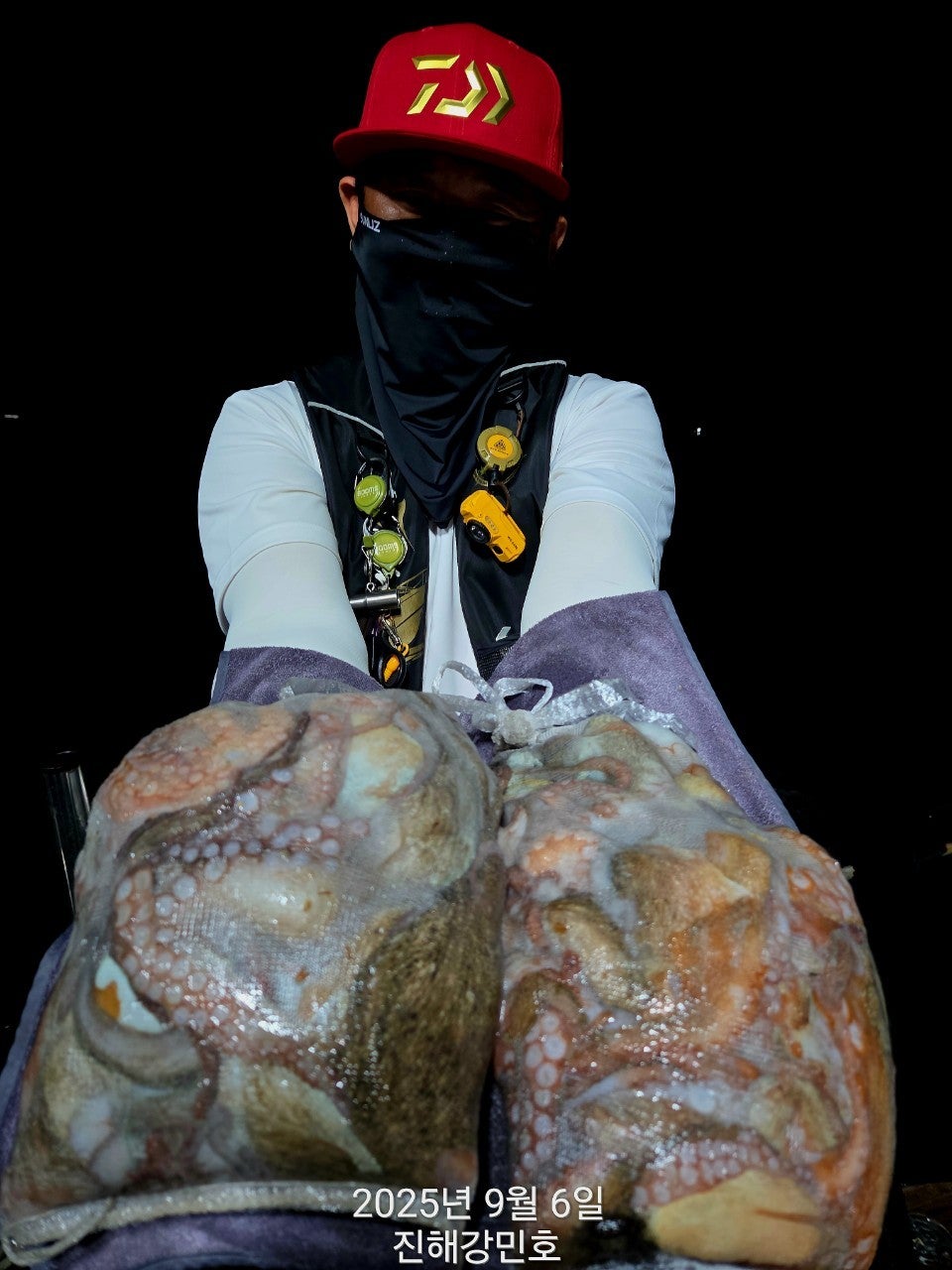 사용자가 올린 이미지