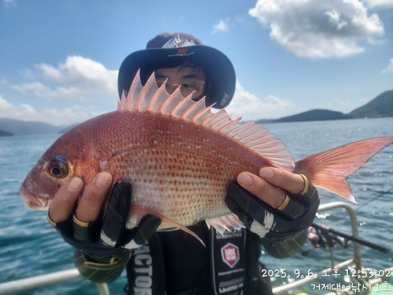 사용자가 올린 이미지