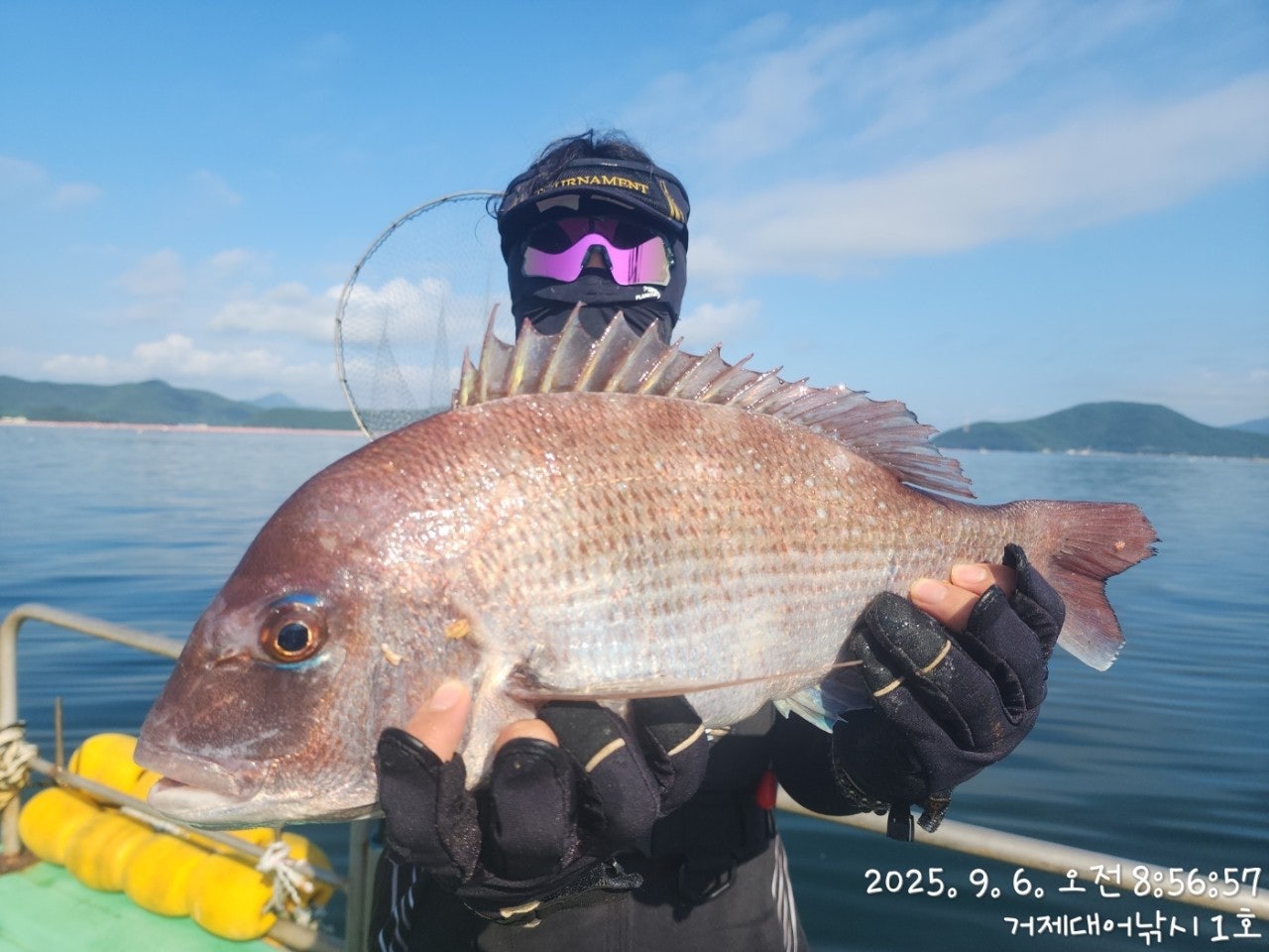 사용자가 올린 이미지