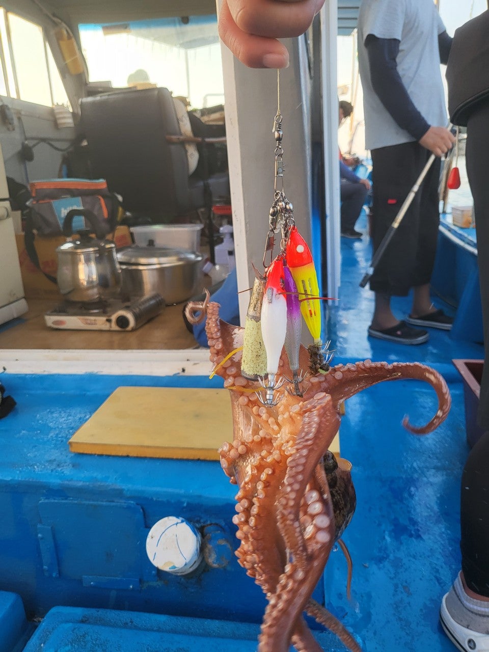 사용자가 올린 이미지