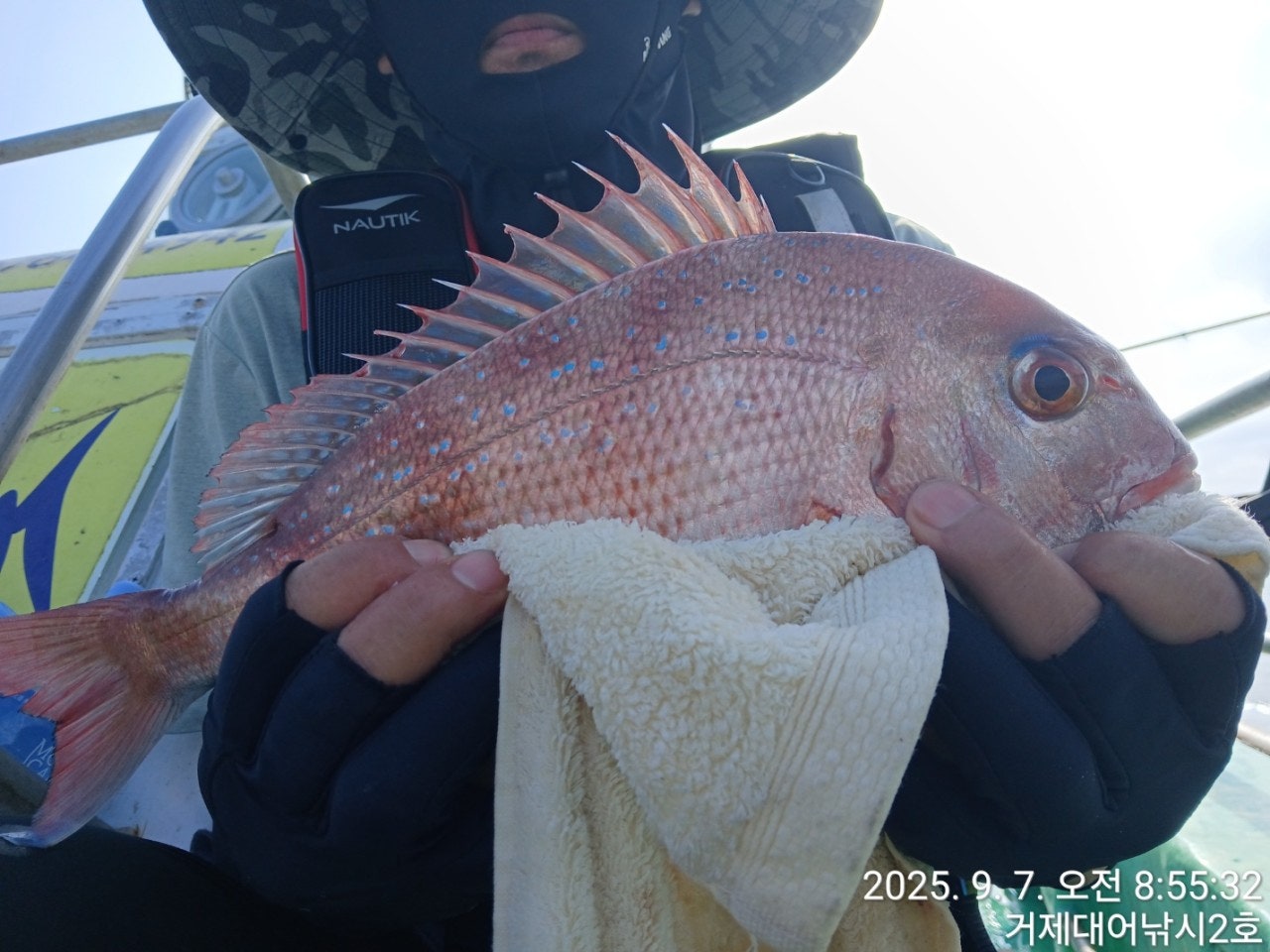 사용자가 올린 이미지