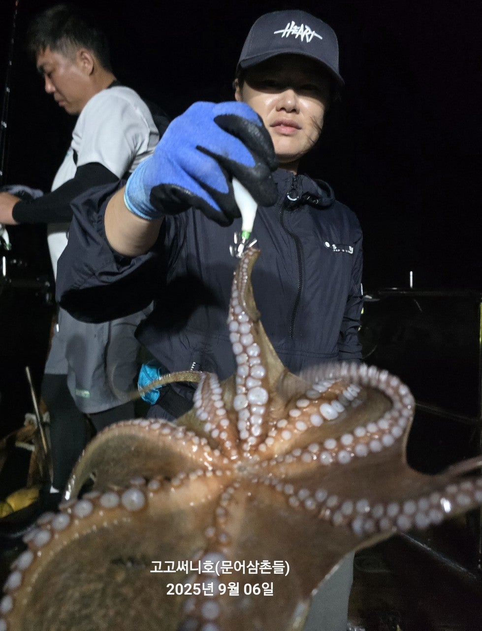 사용자가 올린 이미지