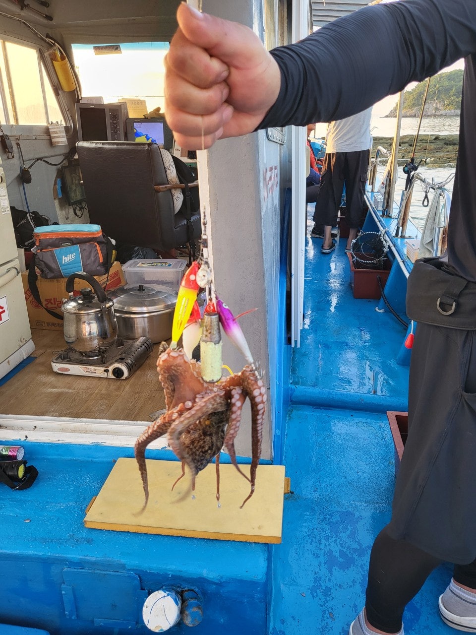 사용자가 올린 이미지