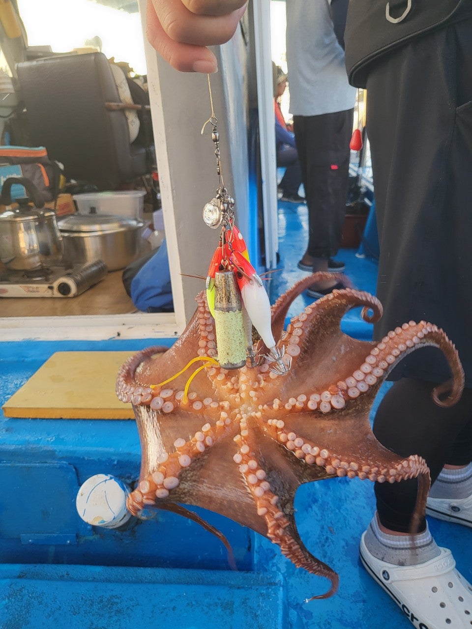 사용자가 올린 이미지