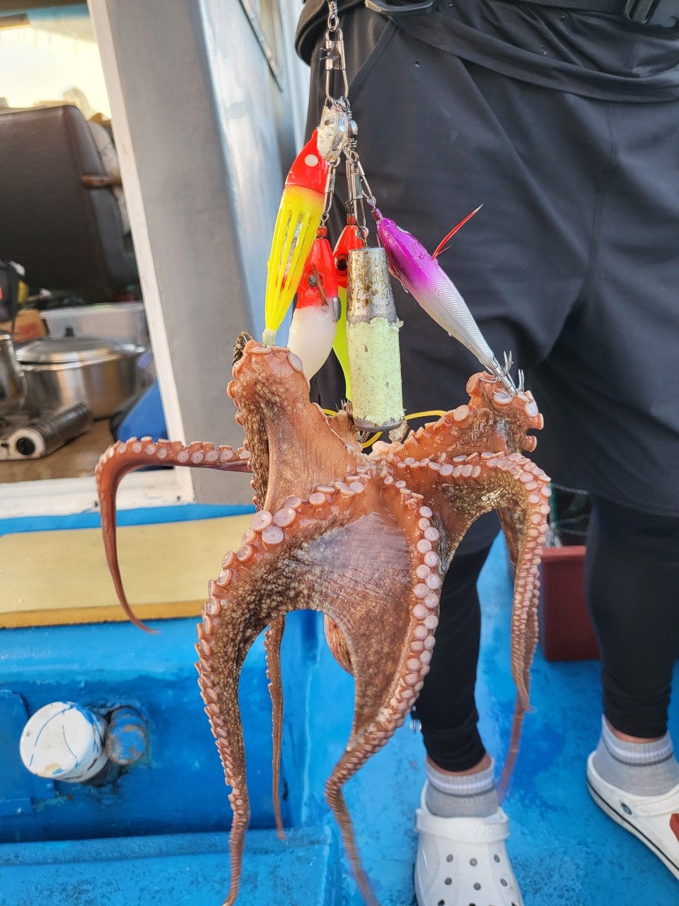 사용자가 올린 이미지