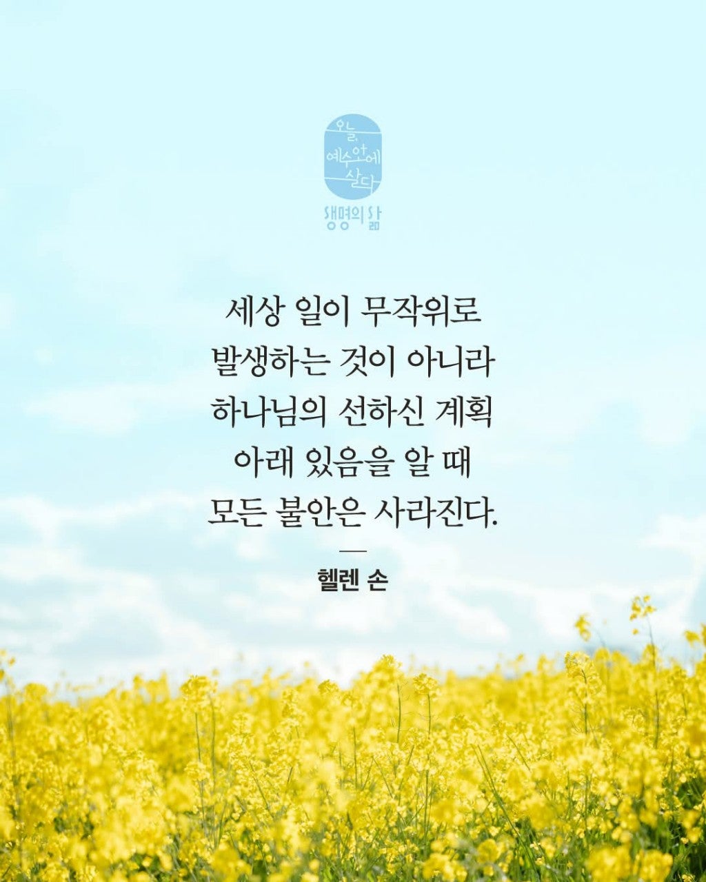 ����ڰ� �ø� �̹���