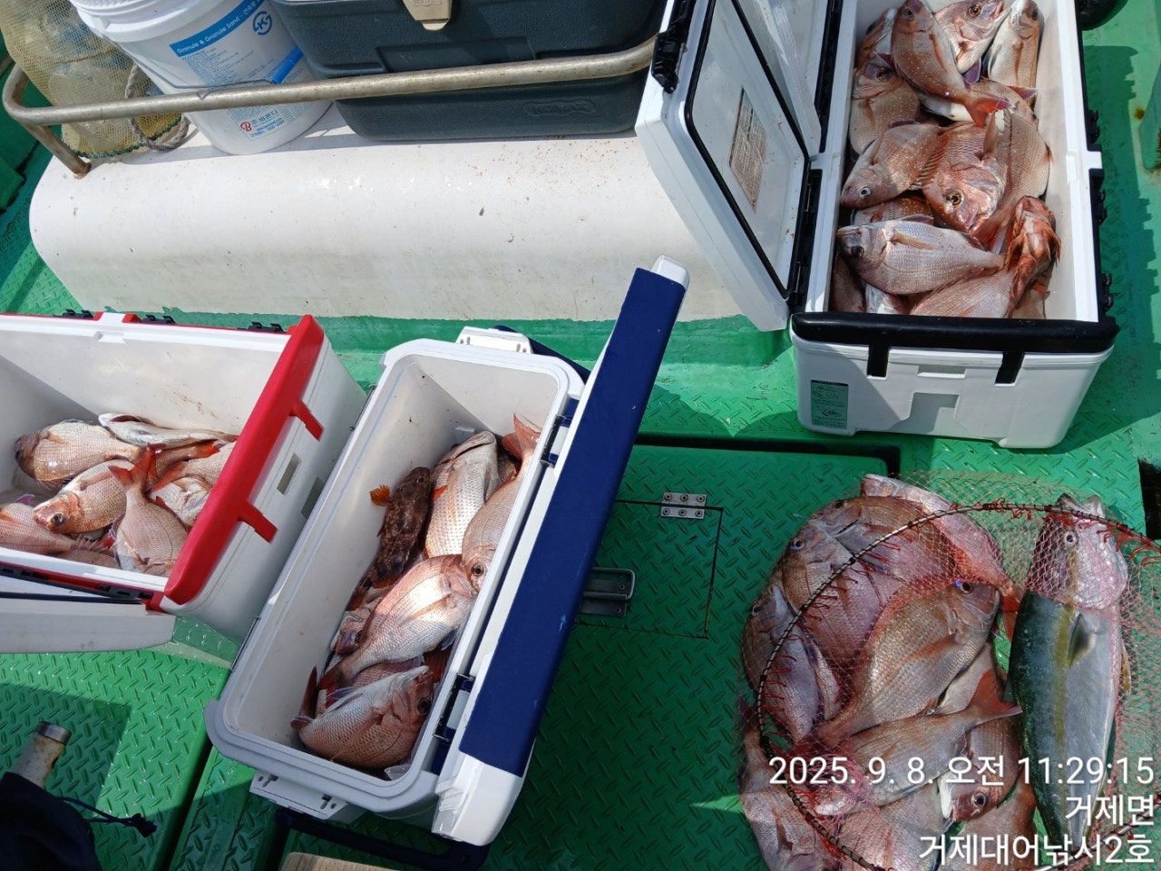 사용자가 올린 이미지