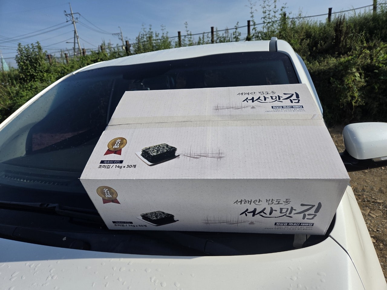 사용자가 올린 이미지