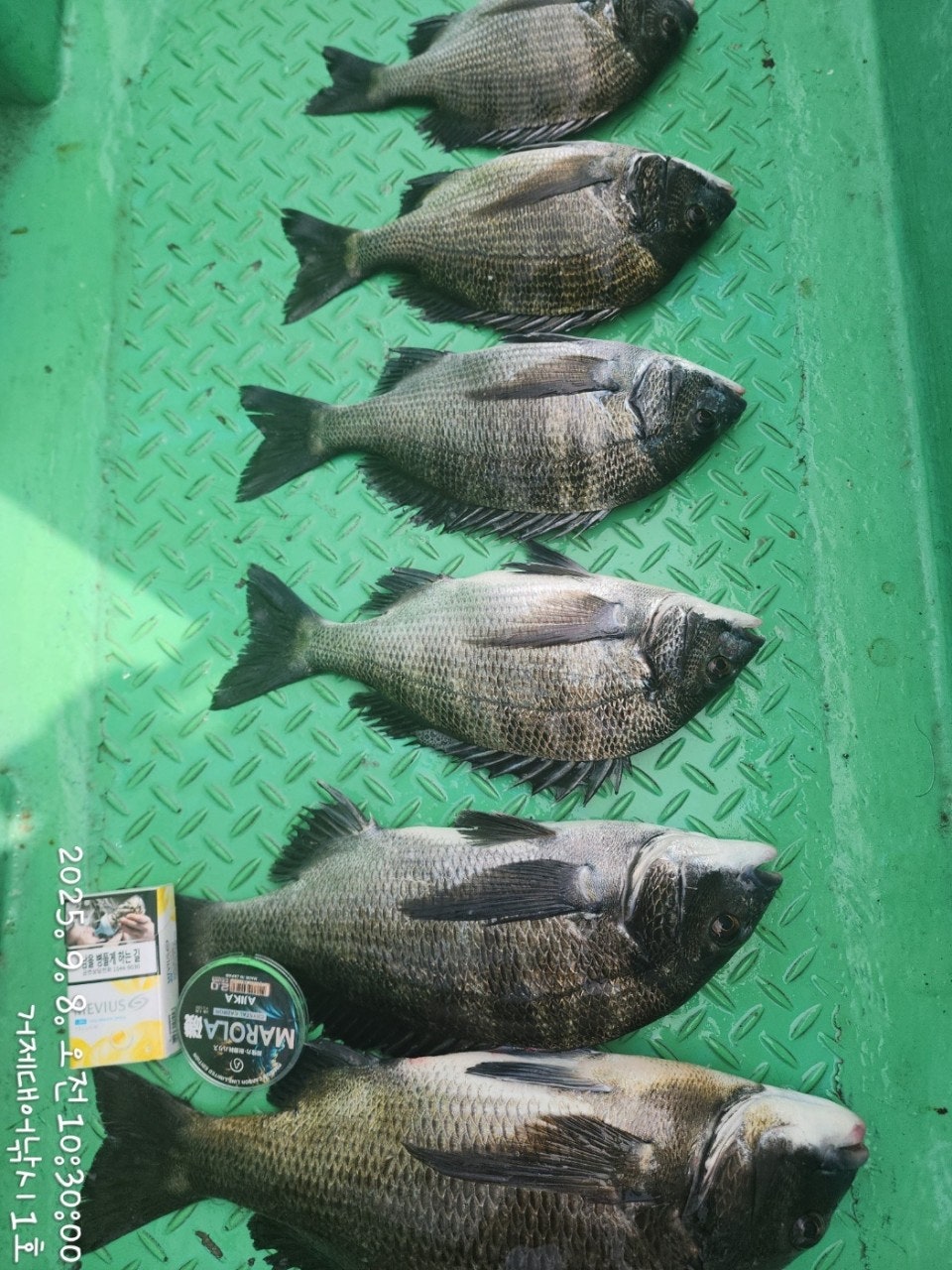 사용자가 올린 이미지