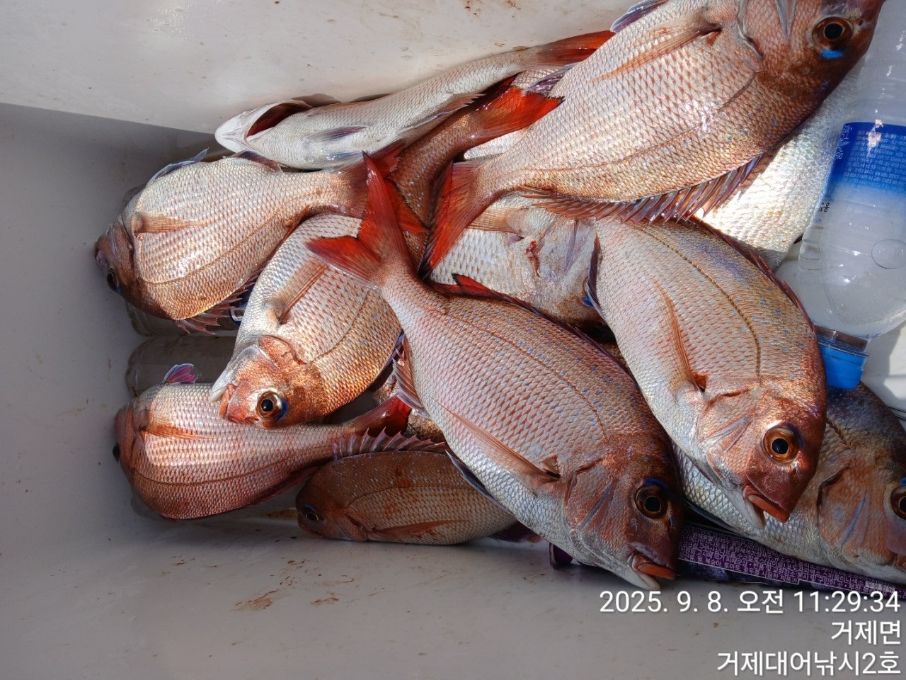 사용자가 올린 이미지