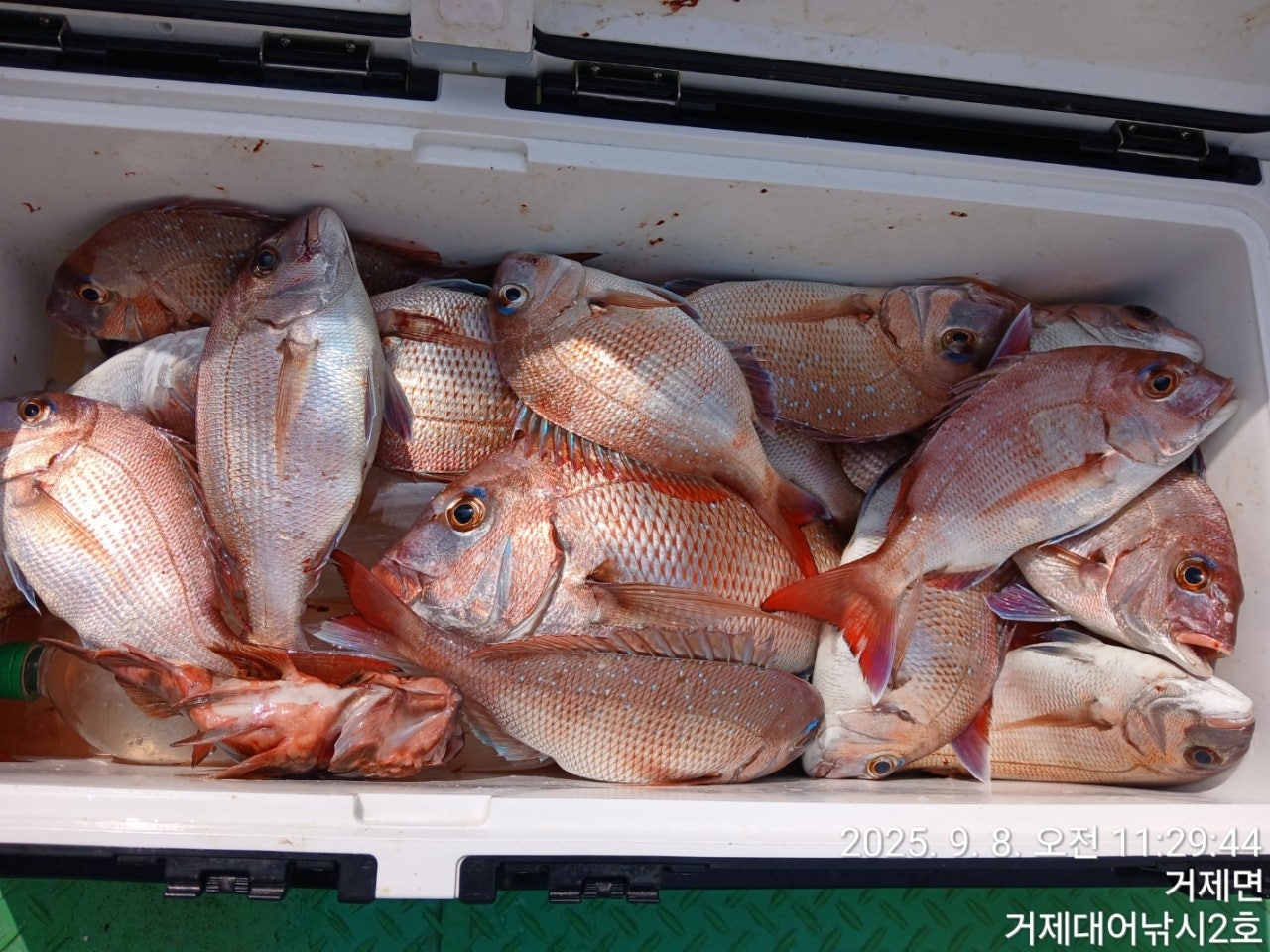 사용자가 올린 이미지