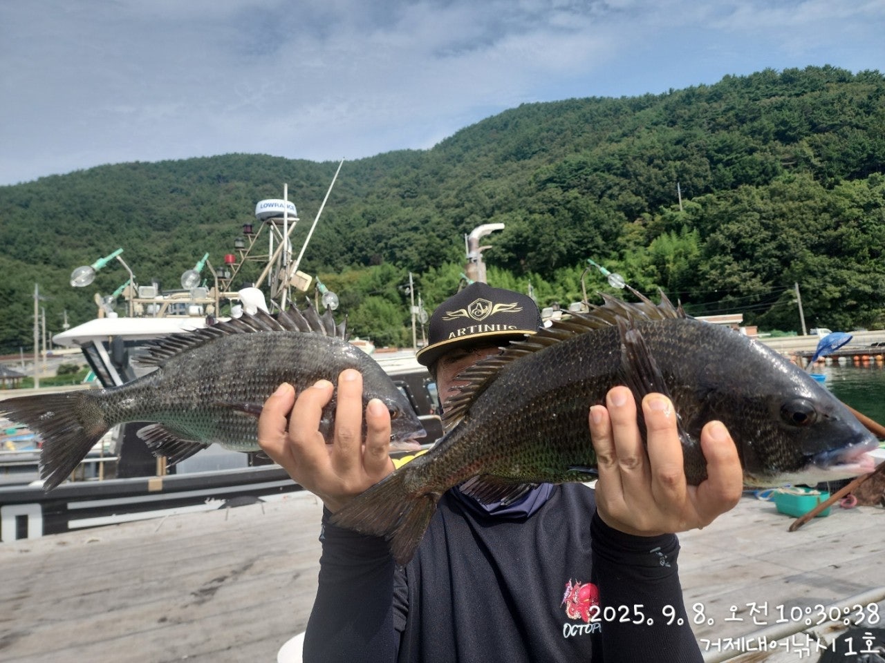 사용자가 올린 이미지