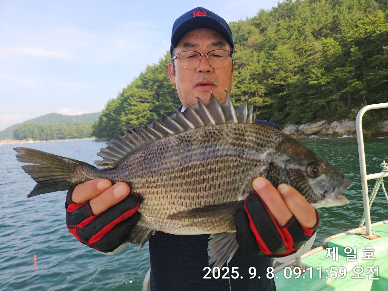 사용자가 올린 이미지