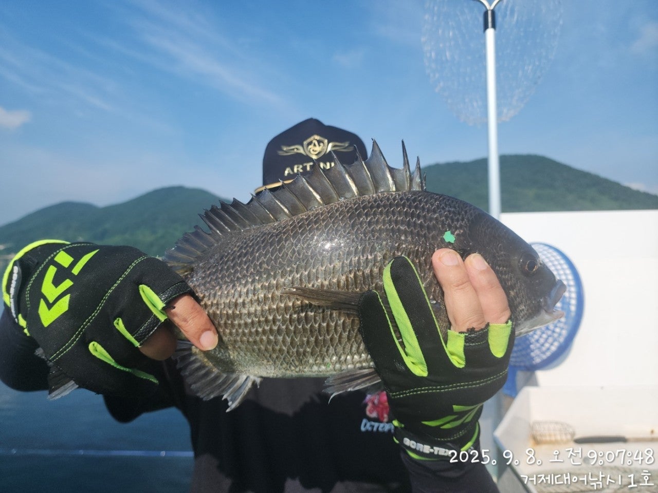 사용자가 올린 이미지