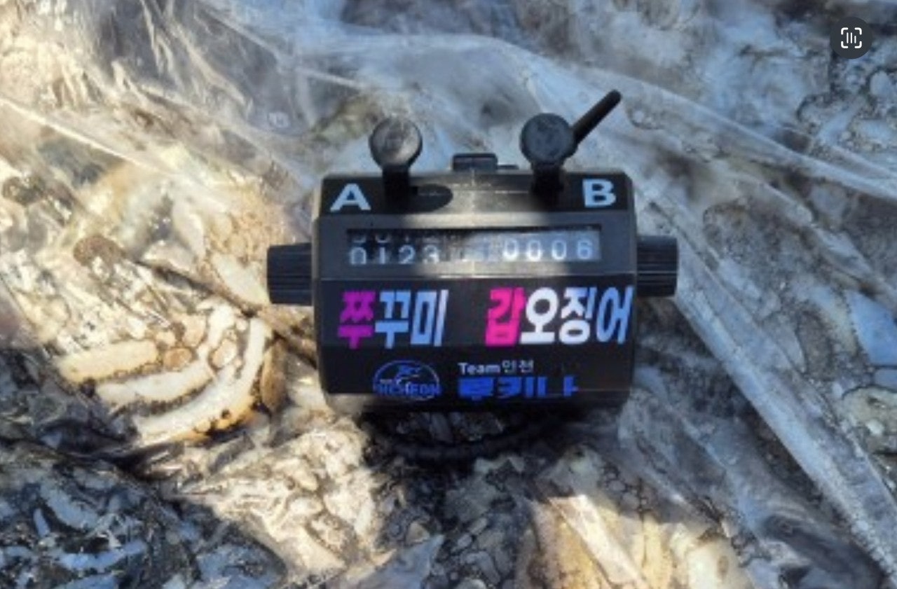 사용자가 올린 이미지