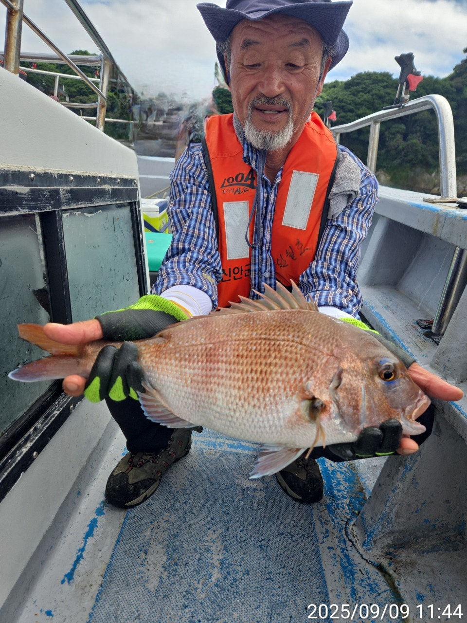사용자가 올린 이미지